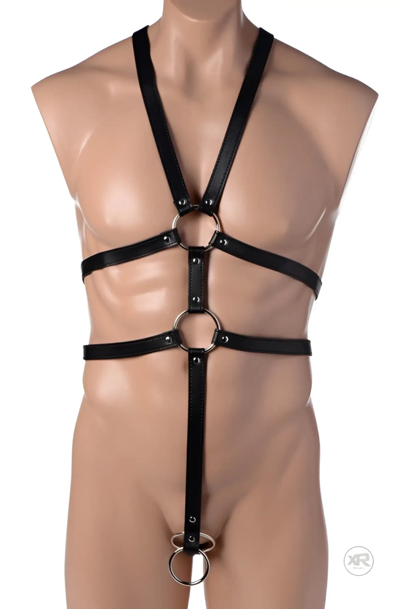 Strict male full body harness black leather bondage harness with silver rings and adjustable straps front view