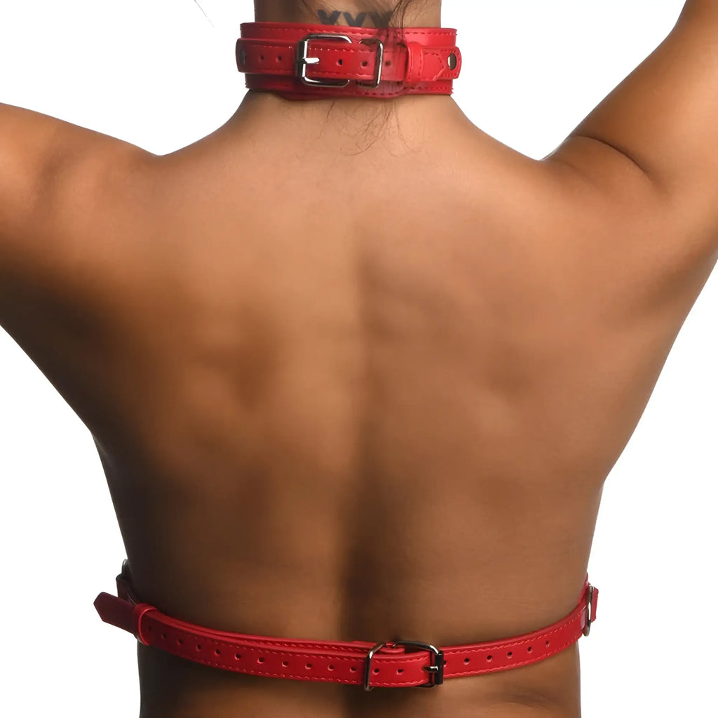 Strict red female chest harness m/l made of red leather with silver buckle and matching red belt shown from front side