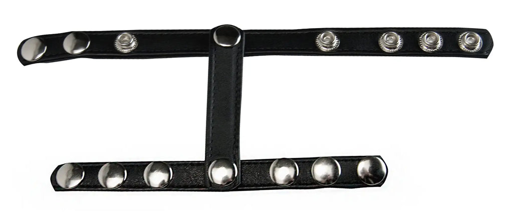 Black leather strict snap-on cock and ball harness with silver toned studs and central clasp