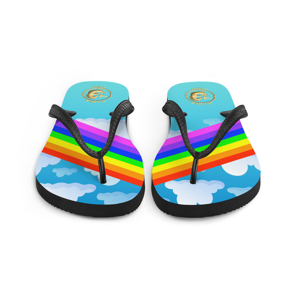 Maris Equi Men's Rainbow Flip-Flops