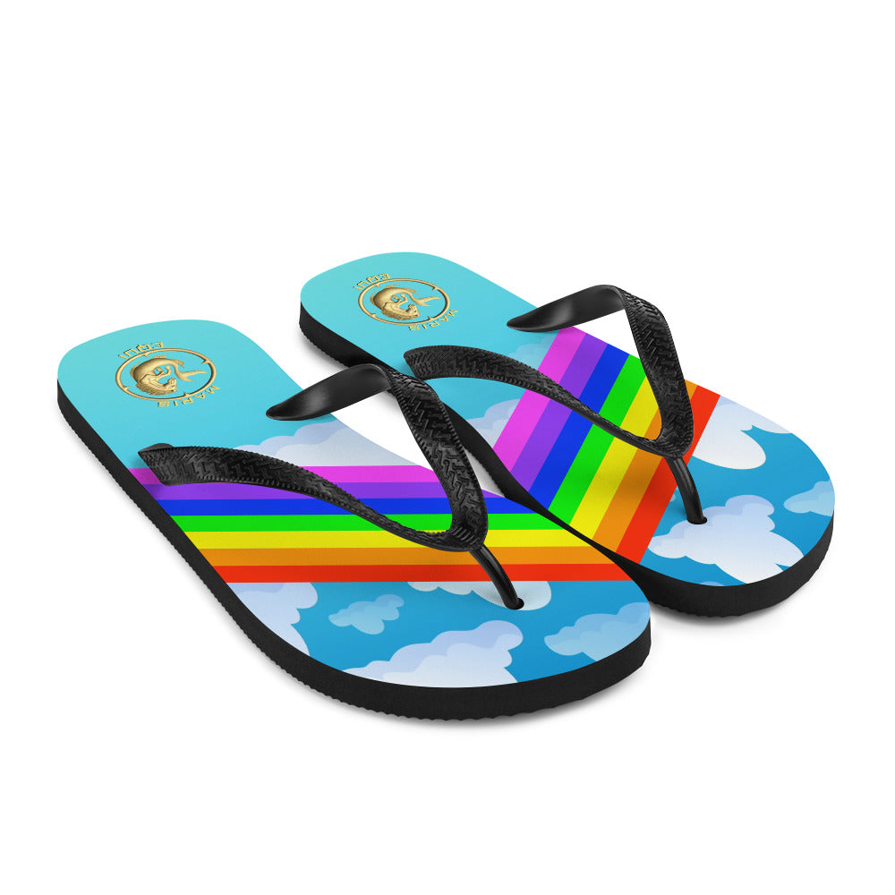 Maris Equi Men's Rainbow Flip-Flops