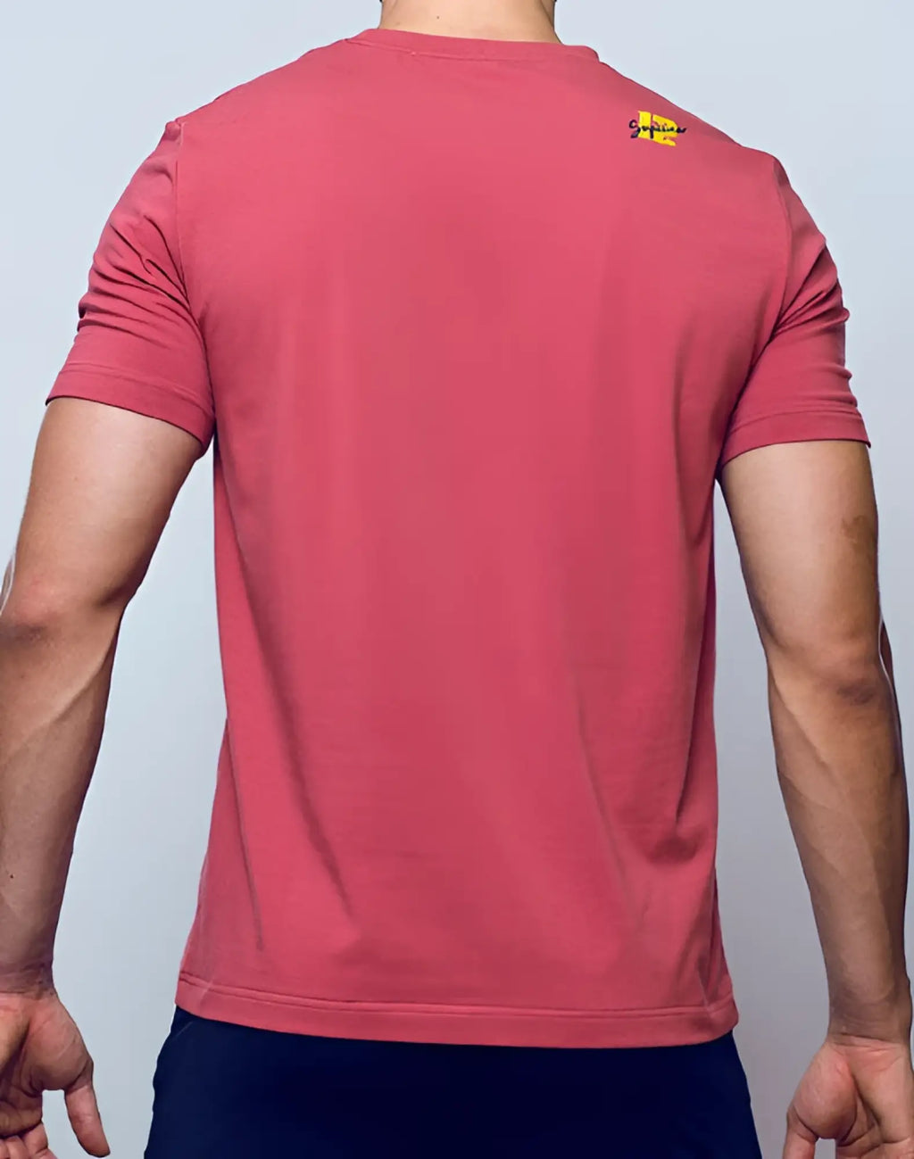 Back view of a supawear classic short sleeve t-shirt in dusty cedar rose heathered cotton with a small yellow logo