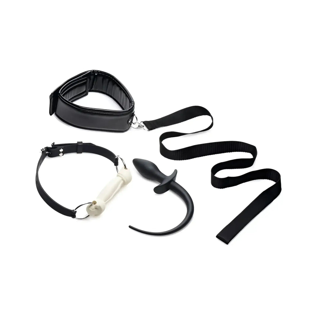 Tailz puppy play set with black leather collar leash white plastic gag and black curved anal plug for puppy play