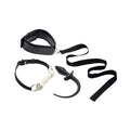 Tailz puppy play set with black leather collar leash white plastic gag and black curved anal plug for puppy play