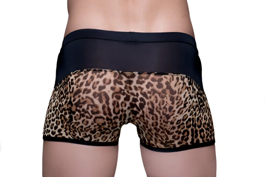 Black and tan leopard-print tartarus peakaboo trunk briefs with a sheer mesh waistband for stylish comfort