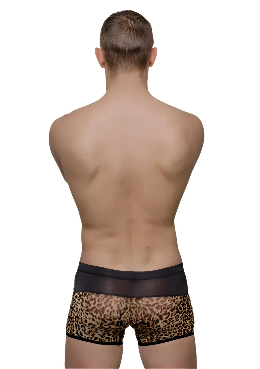 Leopard-print briefs with black elastic waistband and trim from tartarus peakaboo trunk collection