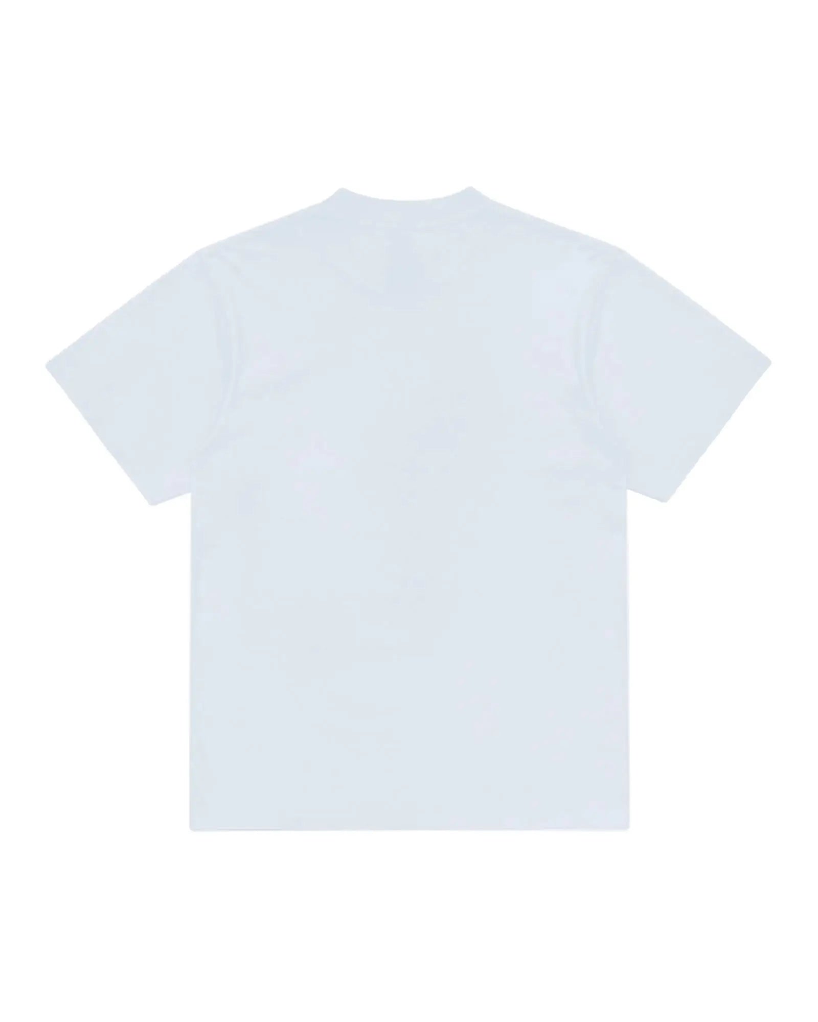 Back view of a plain, light blue Superior Tee short-sleeve t-shirt with a standard crew neck.
