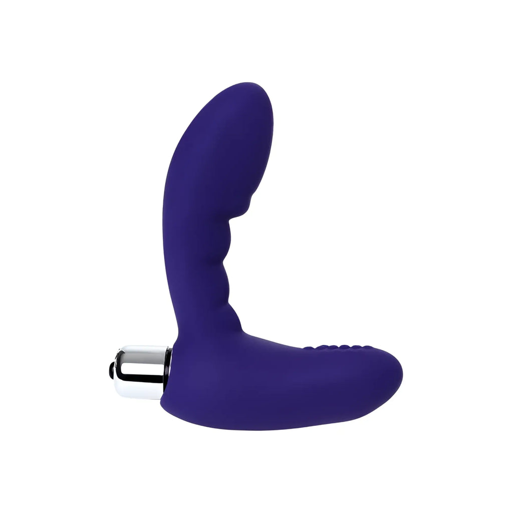 Purple silicone vibrating prostate stim with metallic silver base from todo todo bruman vibrating prostatic pro toy