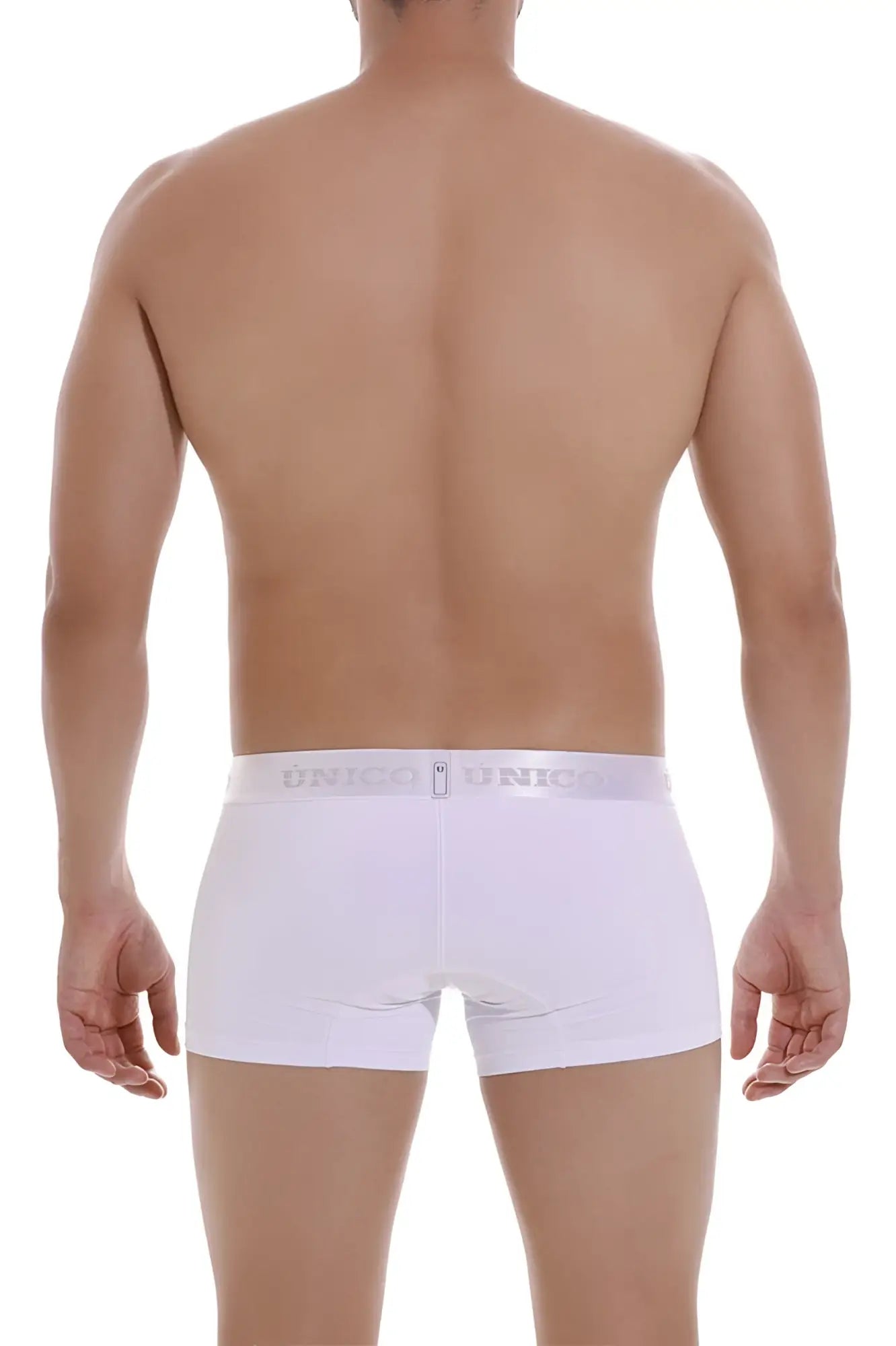 White unico men’s briefs with a silver branded waistband in the cristalino m22 trunks color 00-white design