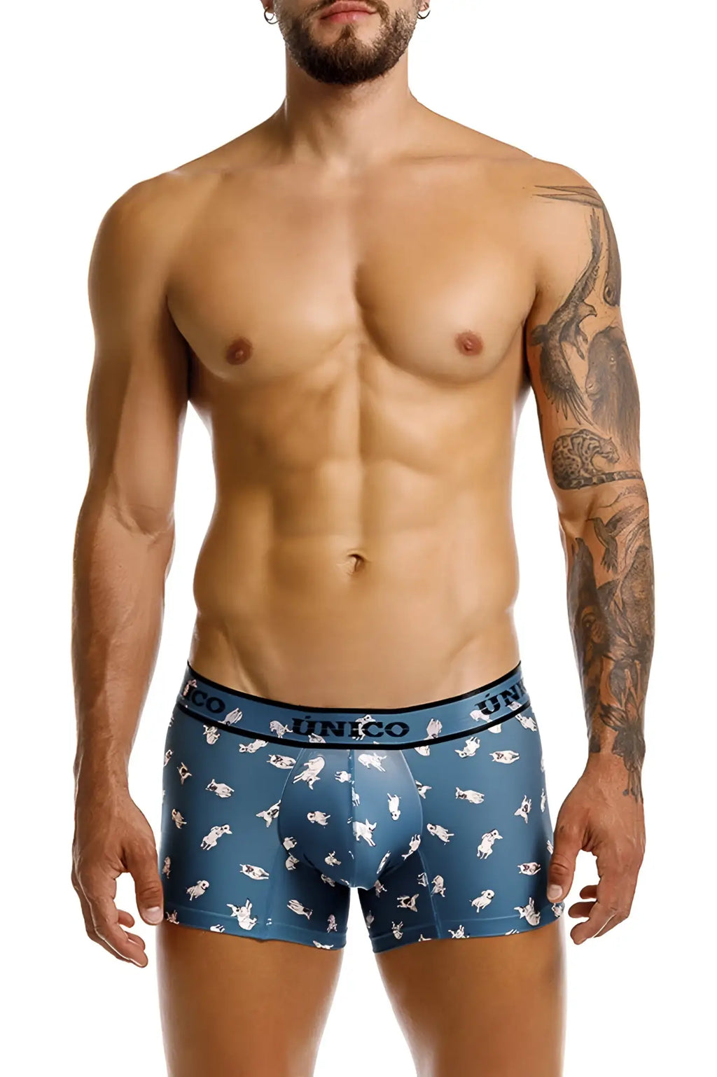Blue unico boxer briefs with playful white chihuahua dog pattern in soft fabric for comfortable everyday wear