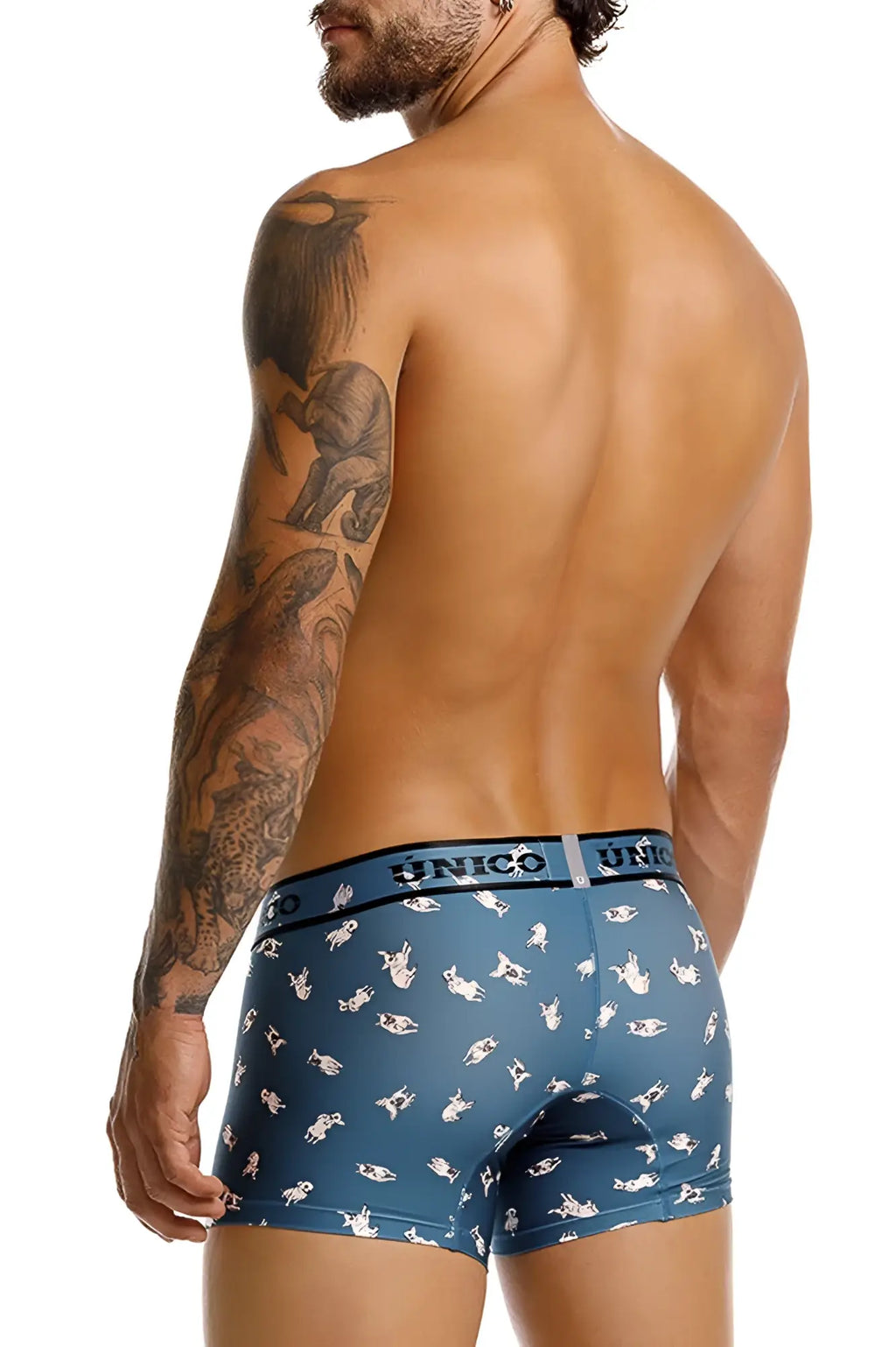 Blue unico boxer briefs with white chihuahua cartoon pattern in color 43-blue for comfortable daily wear
