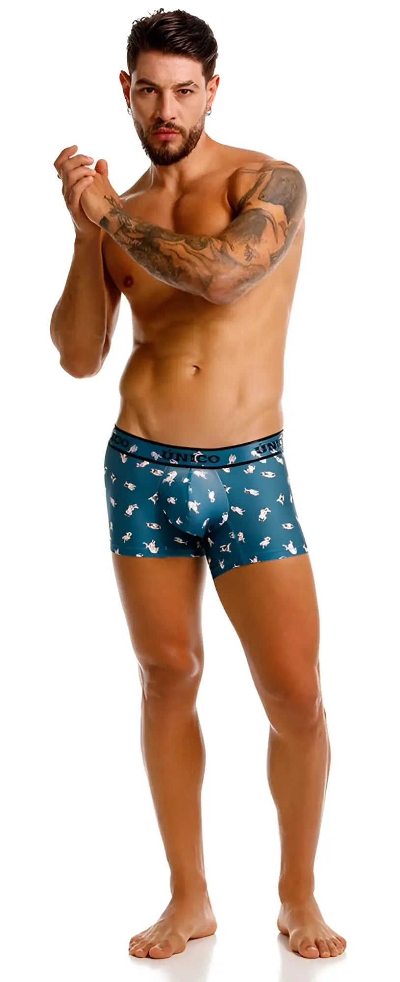 Teal unico boxer briefs with white bird pattern and printed waistband in the unico 25060100104 chihuahua trunks color 43-blue