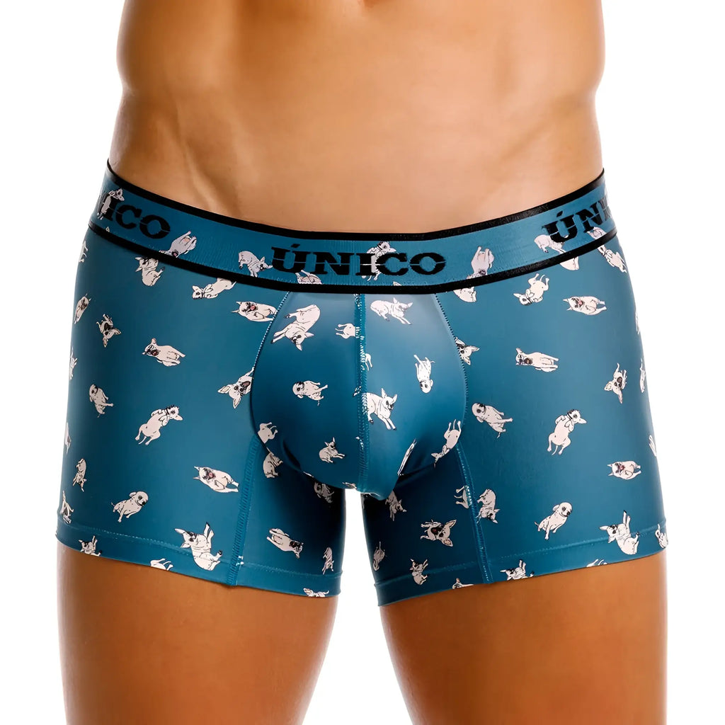 Teal men’s boxer briefs with white pug pattern and unico branded waistband in color 43-blue chihuahua trunks