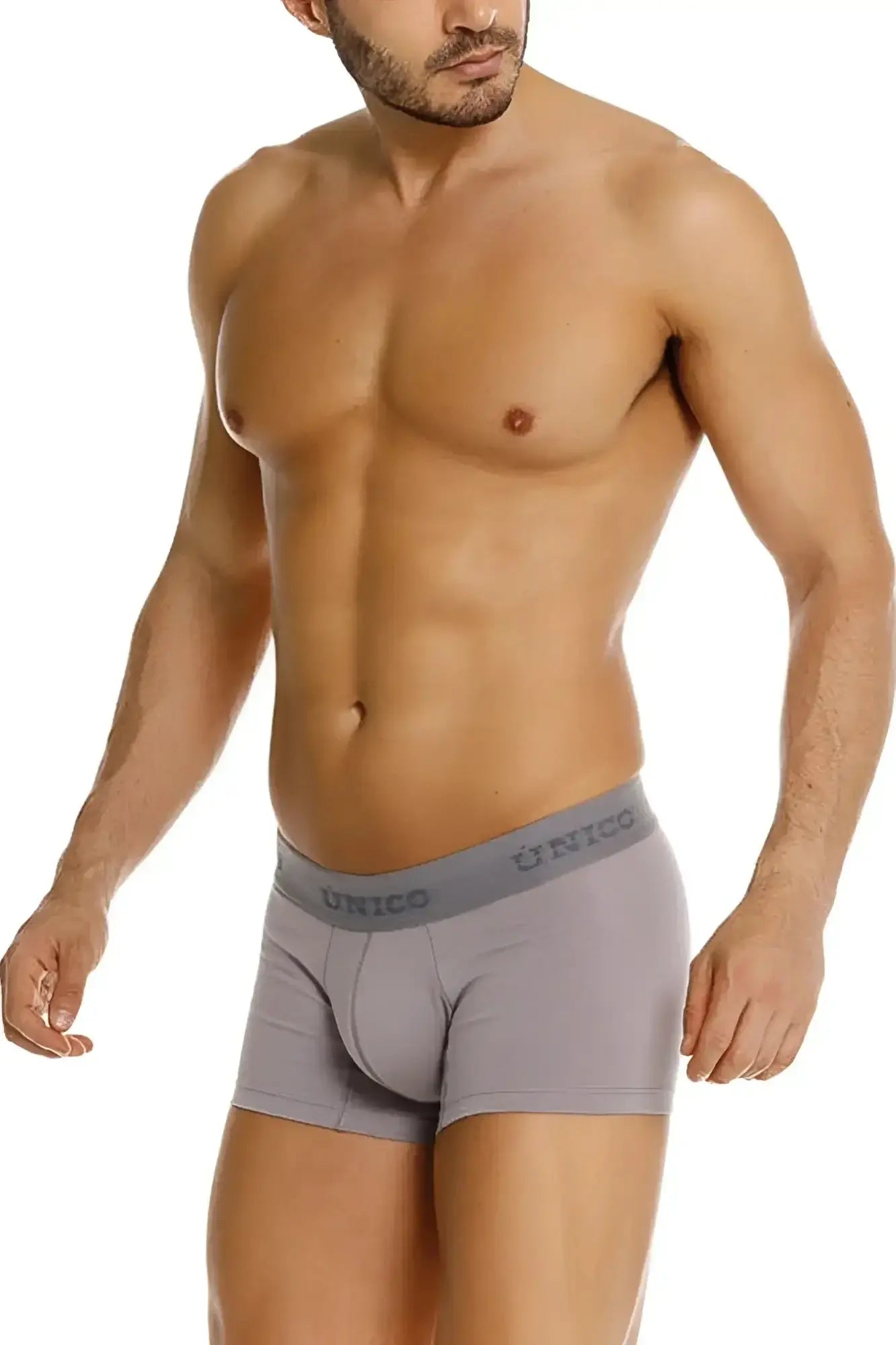 Gray unico mens boxer briefs with snug fit and elastic waistband in color 59 gray ruano trunks model 26020100120