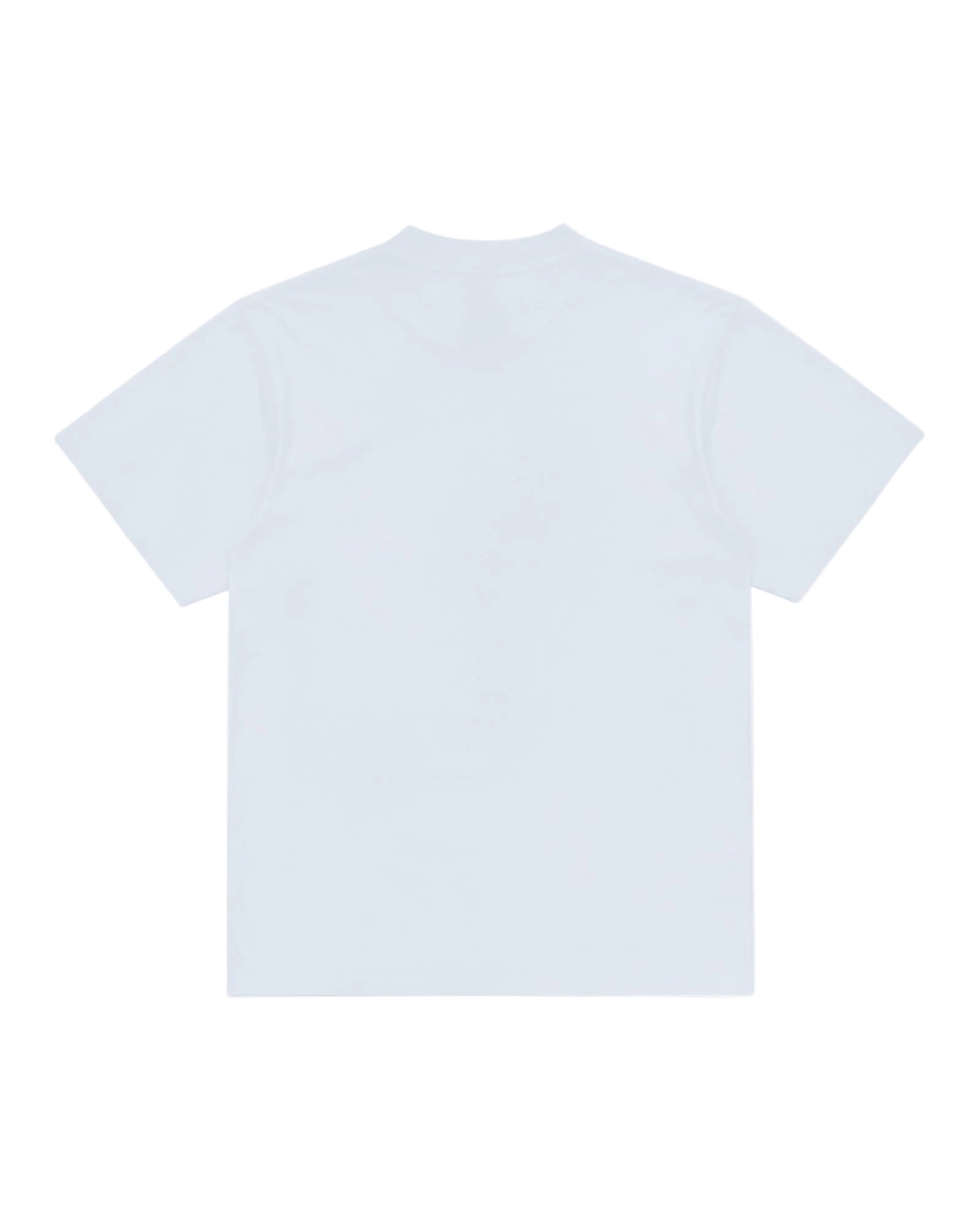 Back view of a plain, light blue Superior Tee short-sleeve t-shirt with a standard crew neck.