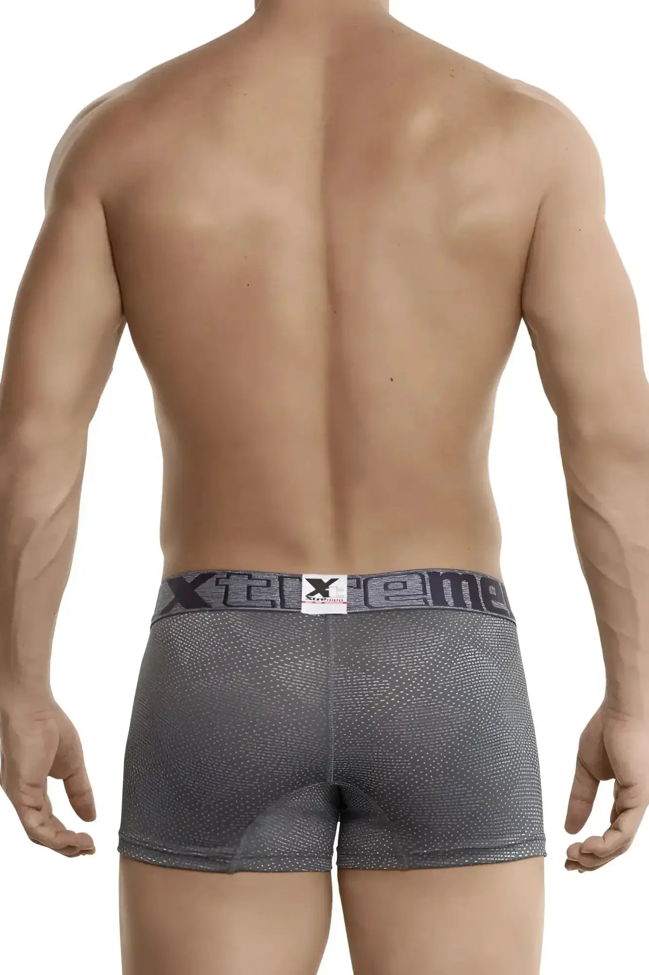 Gray xtremen 54446c jacquard stripes boxer briefs with textured fabric and dark gray waistband with xtreme logo
