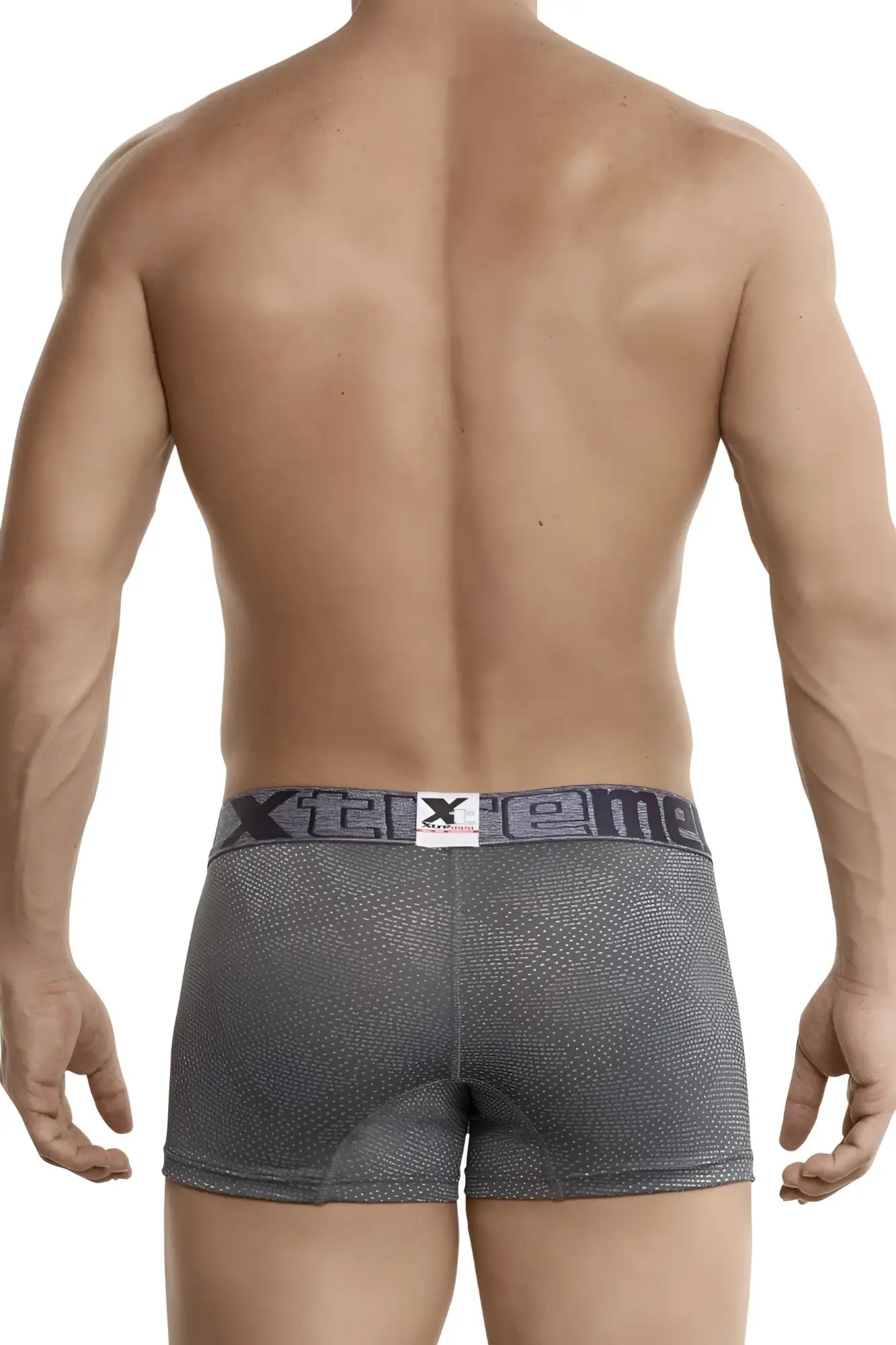 Gray xtremen 54446c jacquard stripes boxer briefs with textured fabric and dark gray waistband with xtreme logo