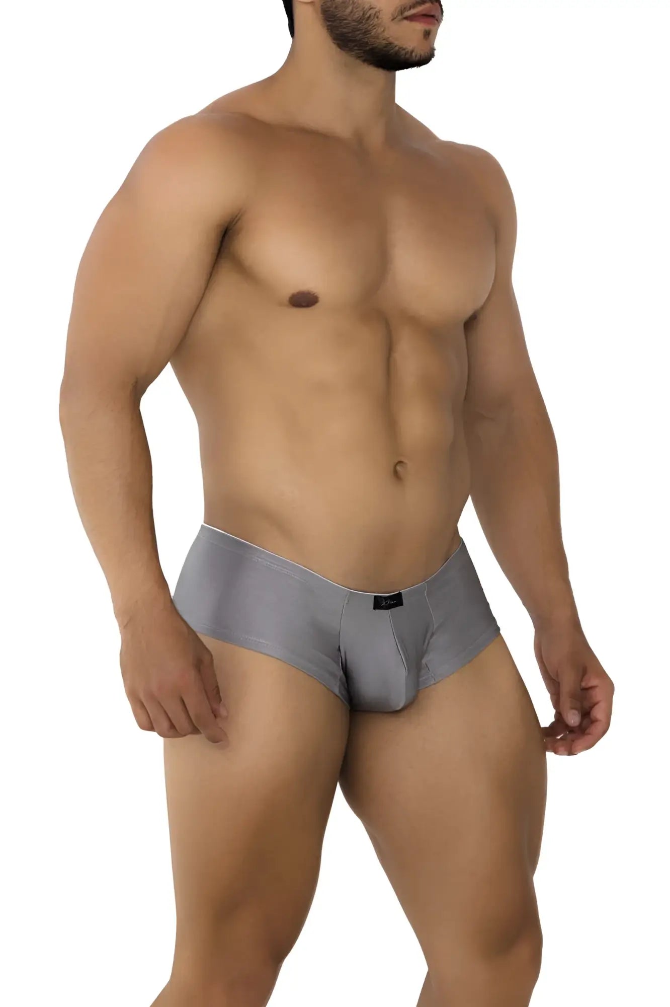Gray form-fitting men’s microfiber trunks with smooth stretchy fabric and subtle black logo on waistband color silver