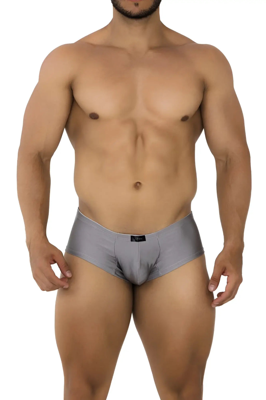 Xtremen 91180 microfiber trunks in silver feature sleek gray form-fitting briefs with a subtle sheen and black brand tag