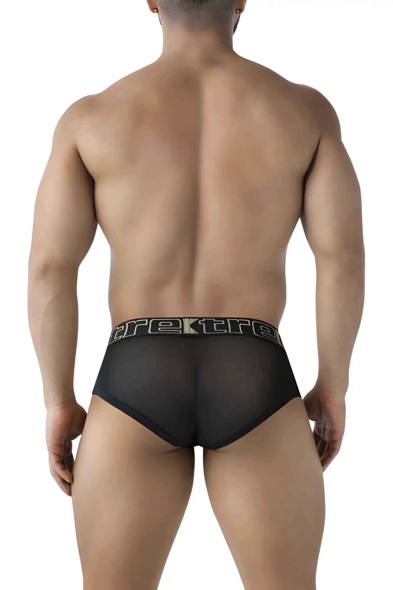 Black sheer mesh xtremen 91236 microfiber briefs with black elastic waistband and silver trek logo