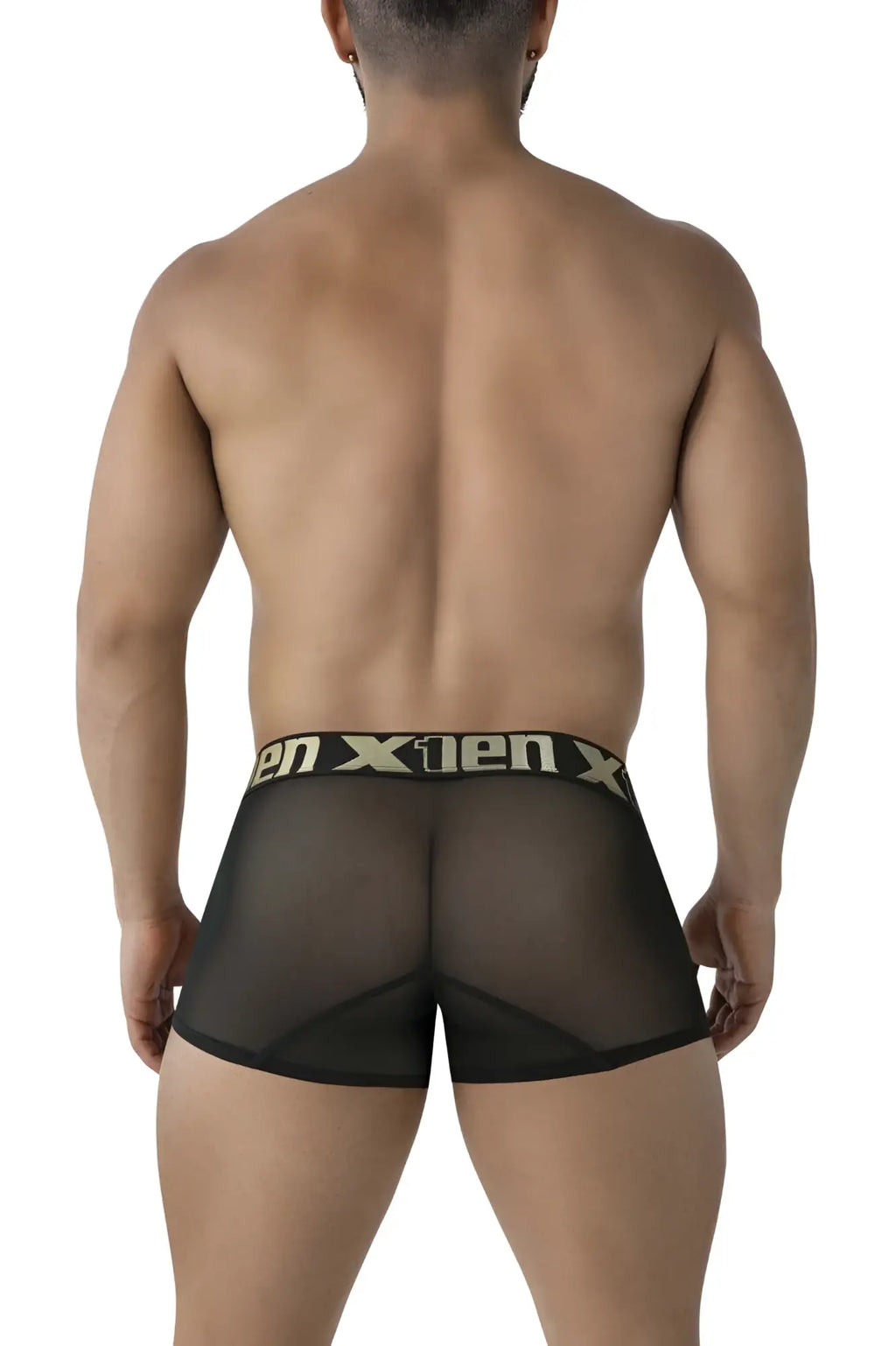Black sheer mesh briefs with black waistband and gold x1en logo in xtremen 91237 microfiber trunks black color