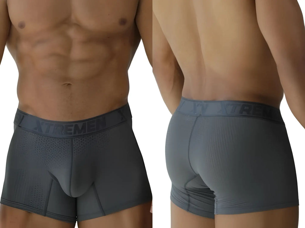 Xtremen 91251 gray microfiber mesh boxer briefs shown from front and back angles on a male model.