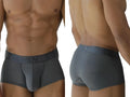 Front and back view of gray Xtremen 91252 microfiber mesh trunks on a male model.