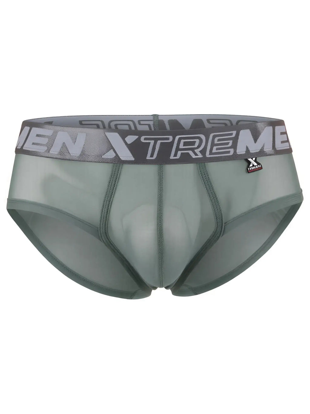 Xtremen sheer mesh bikini briefs in sage green with branded elastic waistband. Model 22002.