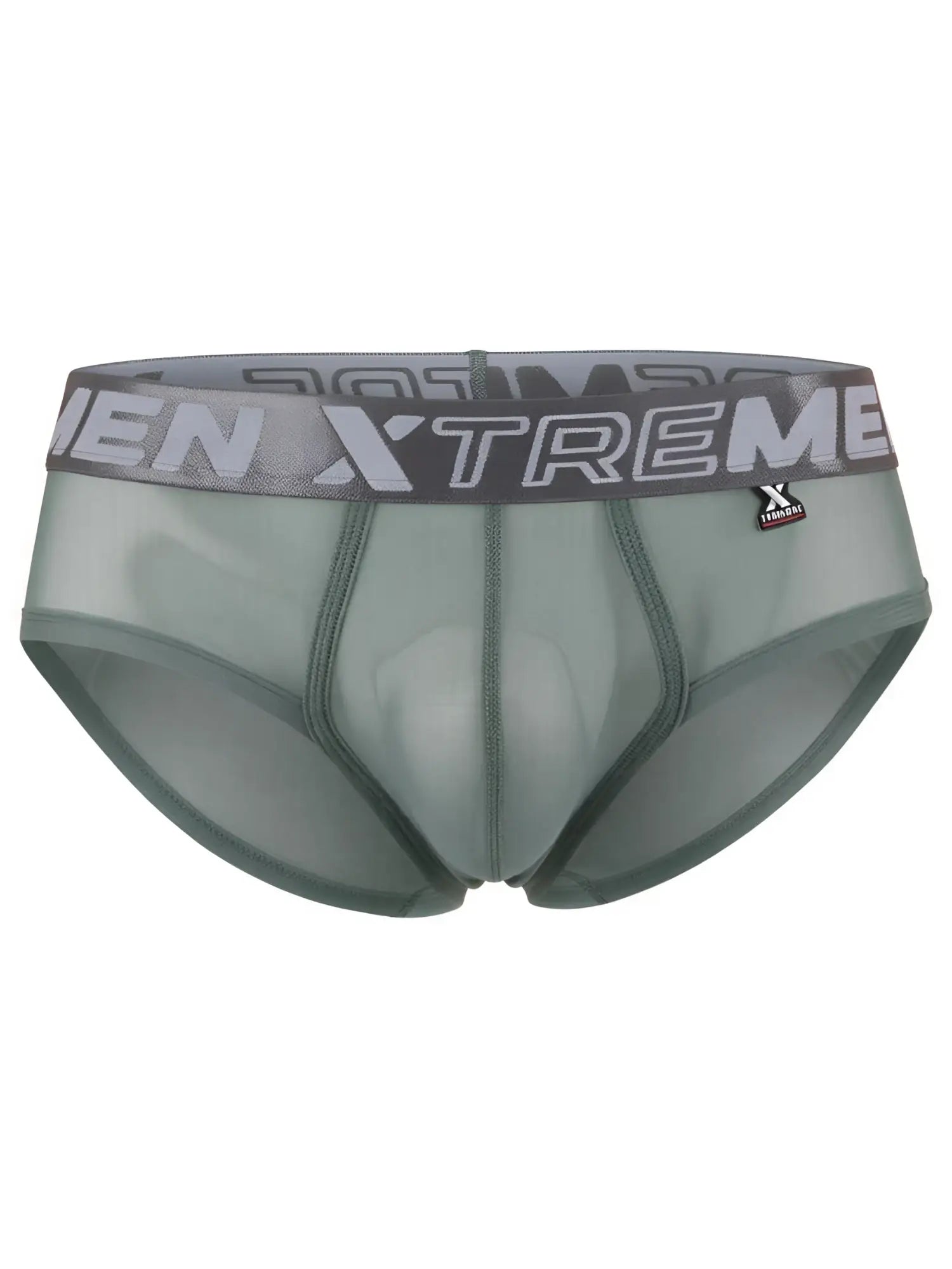 Xtremen sheer mesh bikini briefs in sage green with branded elastic waistband. Model 22002.