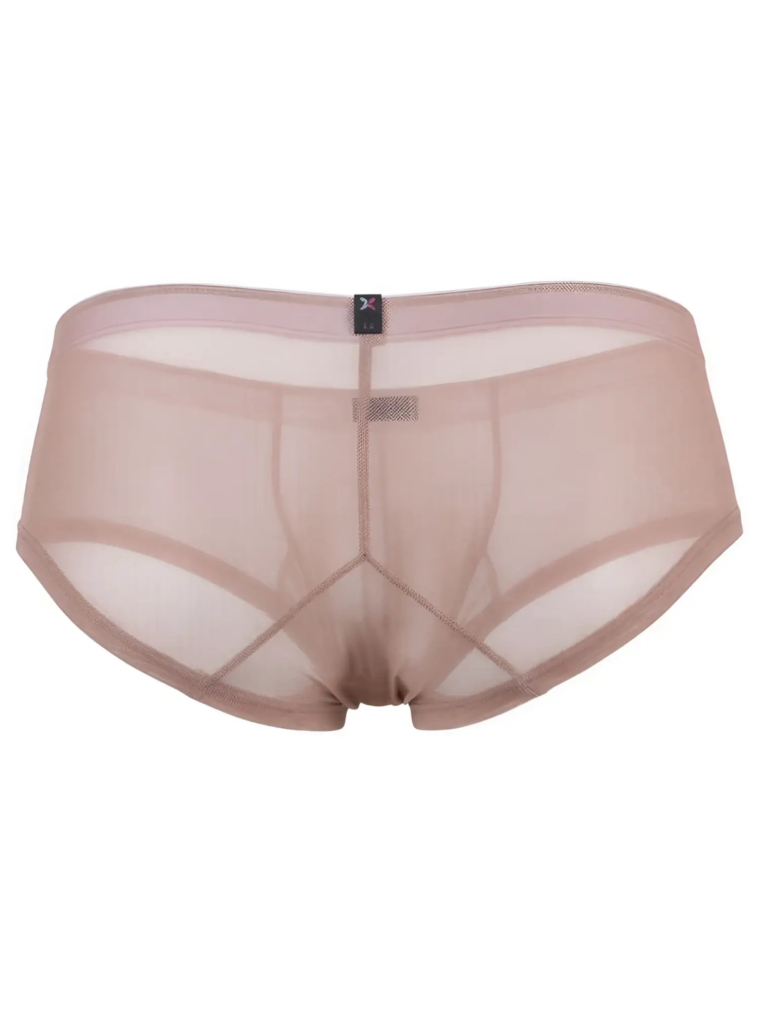 Xtremen nude mesh bikini brief with logo tag detail. Sheer, lightweight fabric. Model 75150.