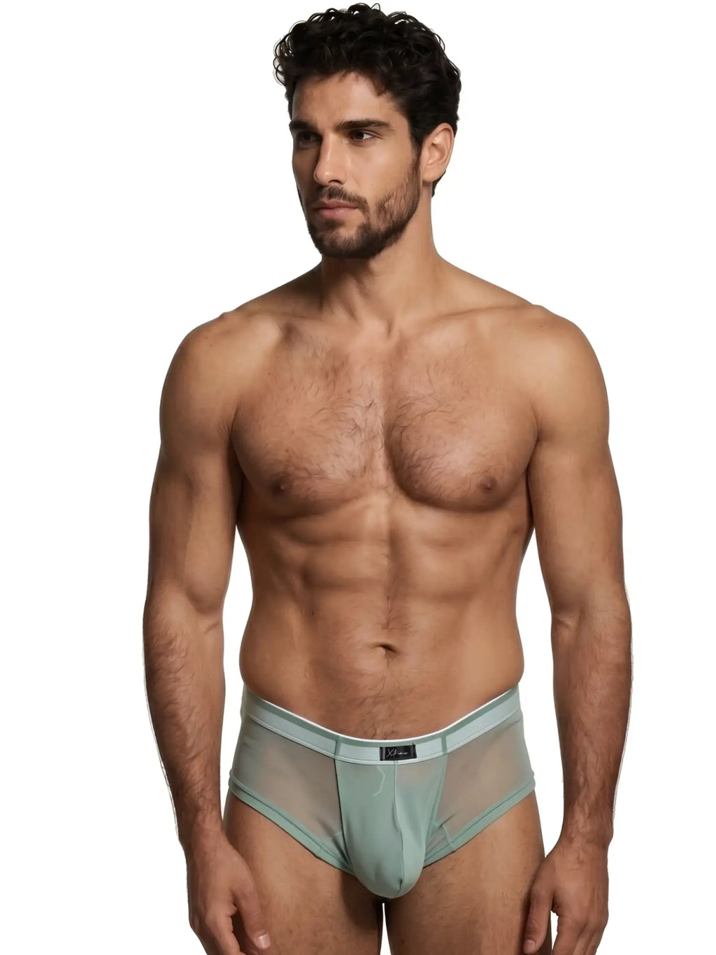 Xtremen sheer mesh bikini brief in sage green. Fitted style, model for display.