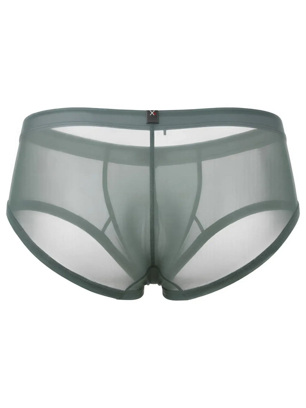 Xtremen sheer mesh brief in sage green, featuring a front pouch and logo waistband tab. Model: 21151.