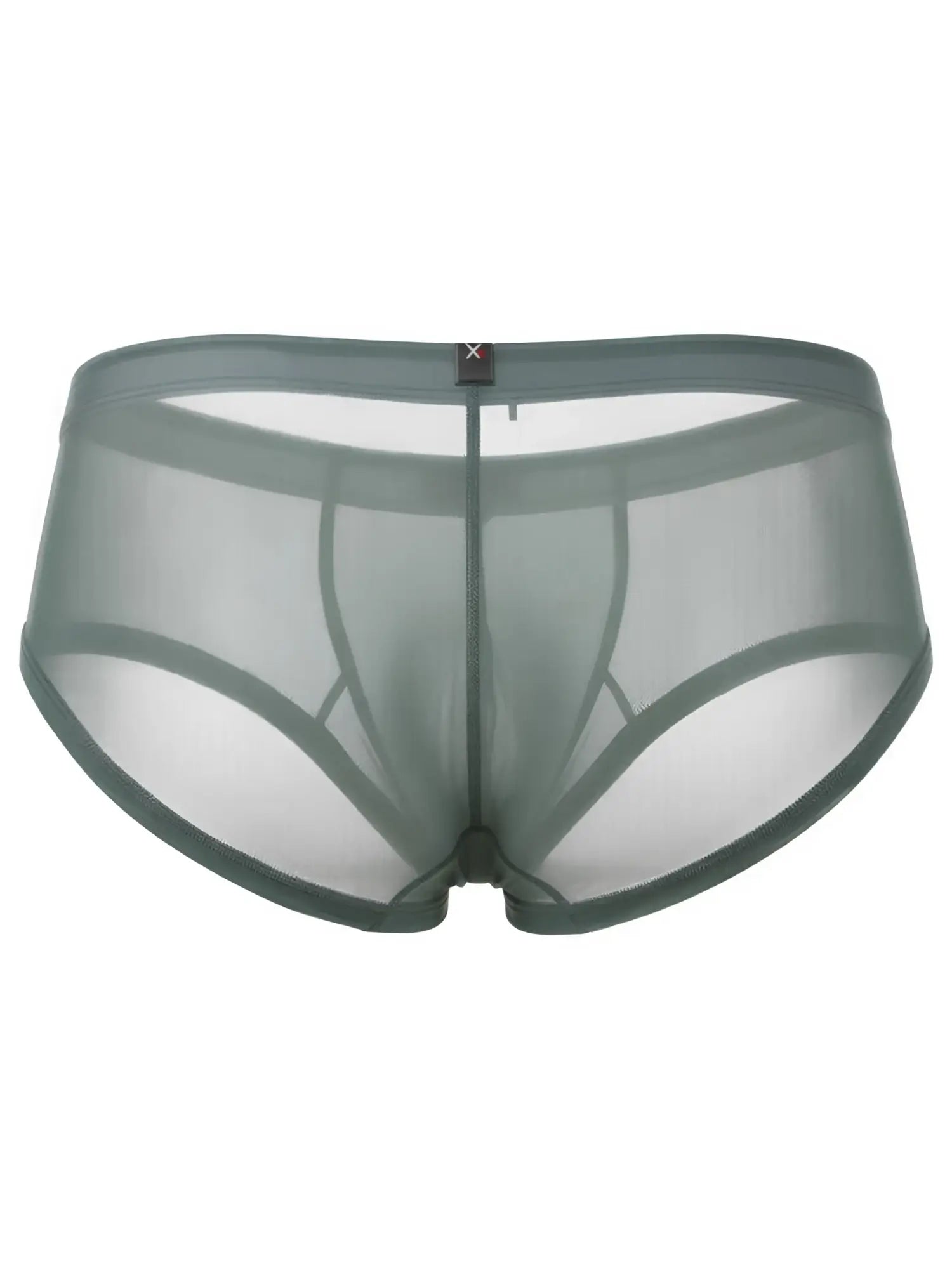 Xtremen sheer mesh brief in sage green, featuring a front pouch and logo waistband tab. Model: 21151.
