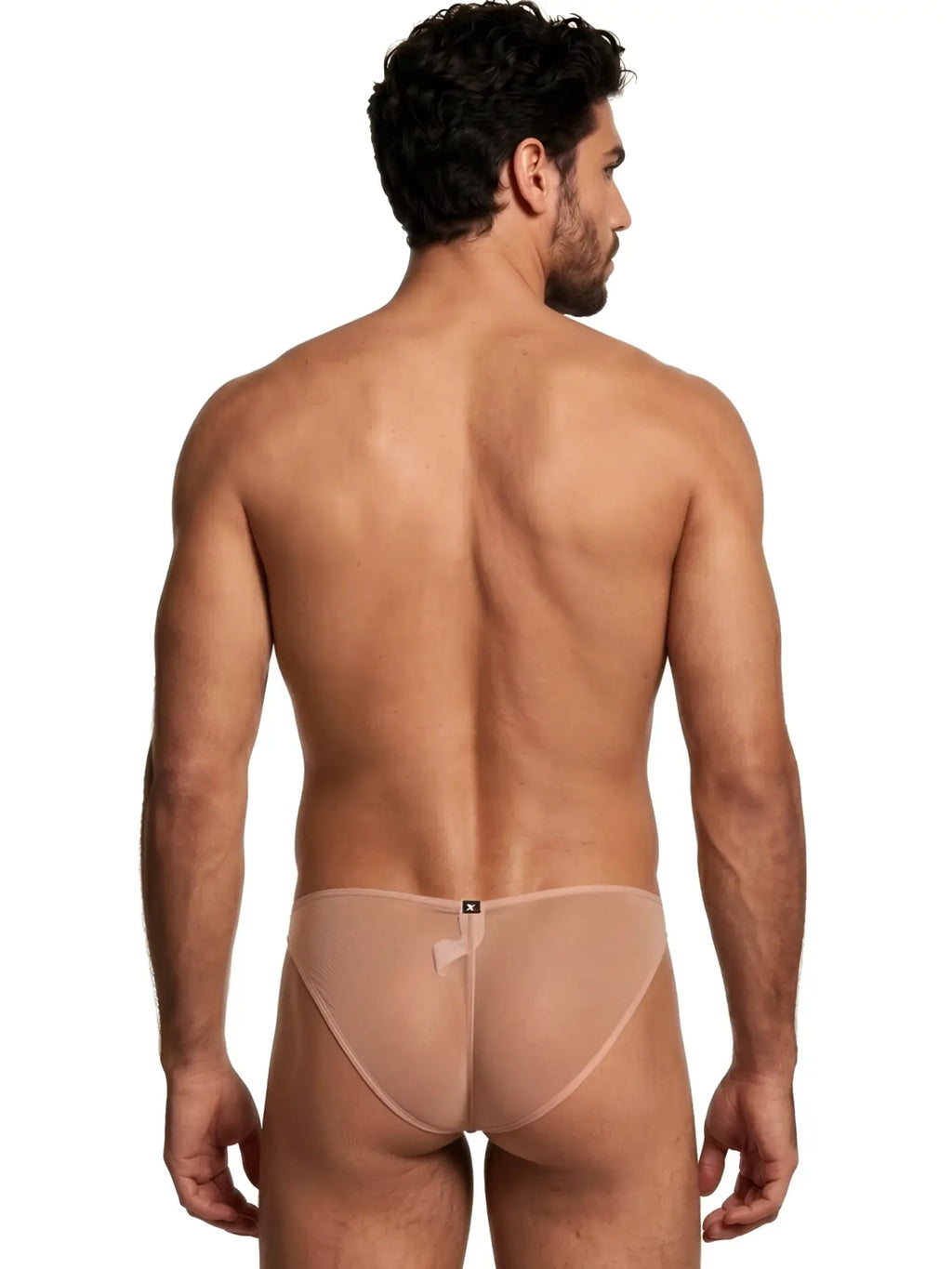 Xtremen nude sheer mesh bikini brief, model 95290. Rear view showing lightweight, see-through fabric design.