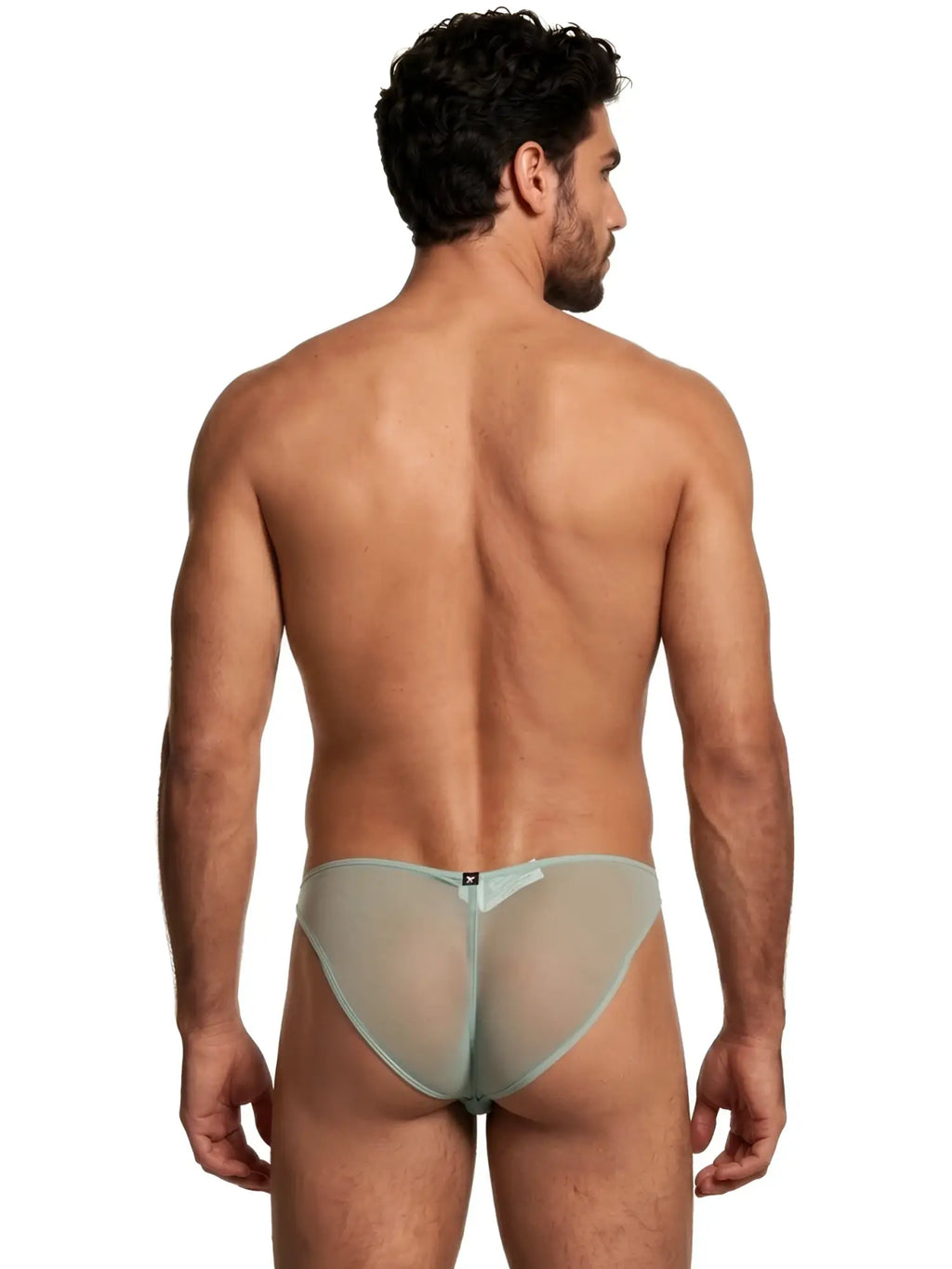 Xtremen sheer mesh bikini briefs in sage green, model 95080. Back view on a male model.
