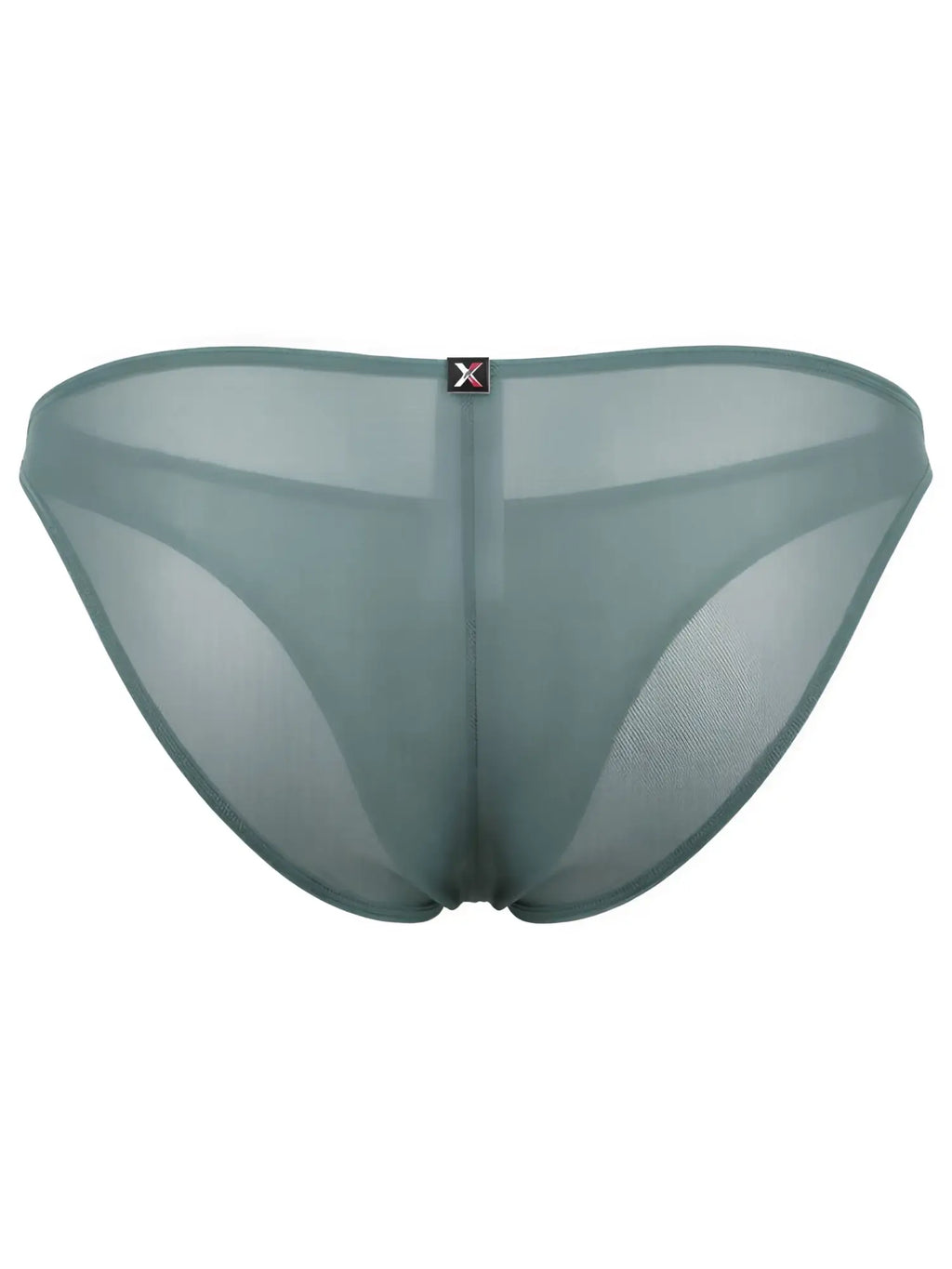 Xtremen sheer mesh bikini briefs in sage green. Back view featuring central brand tab.