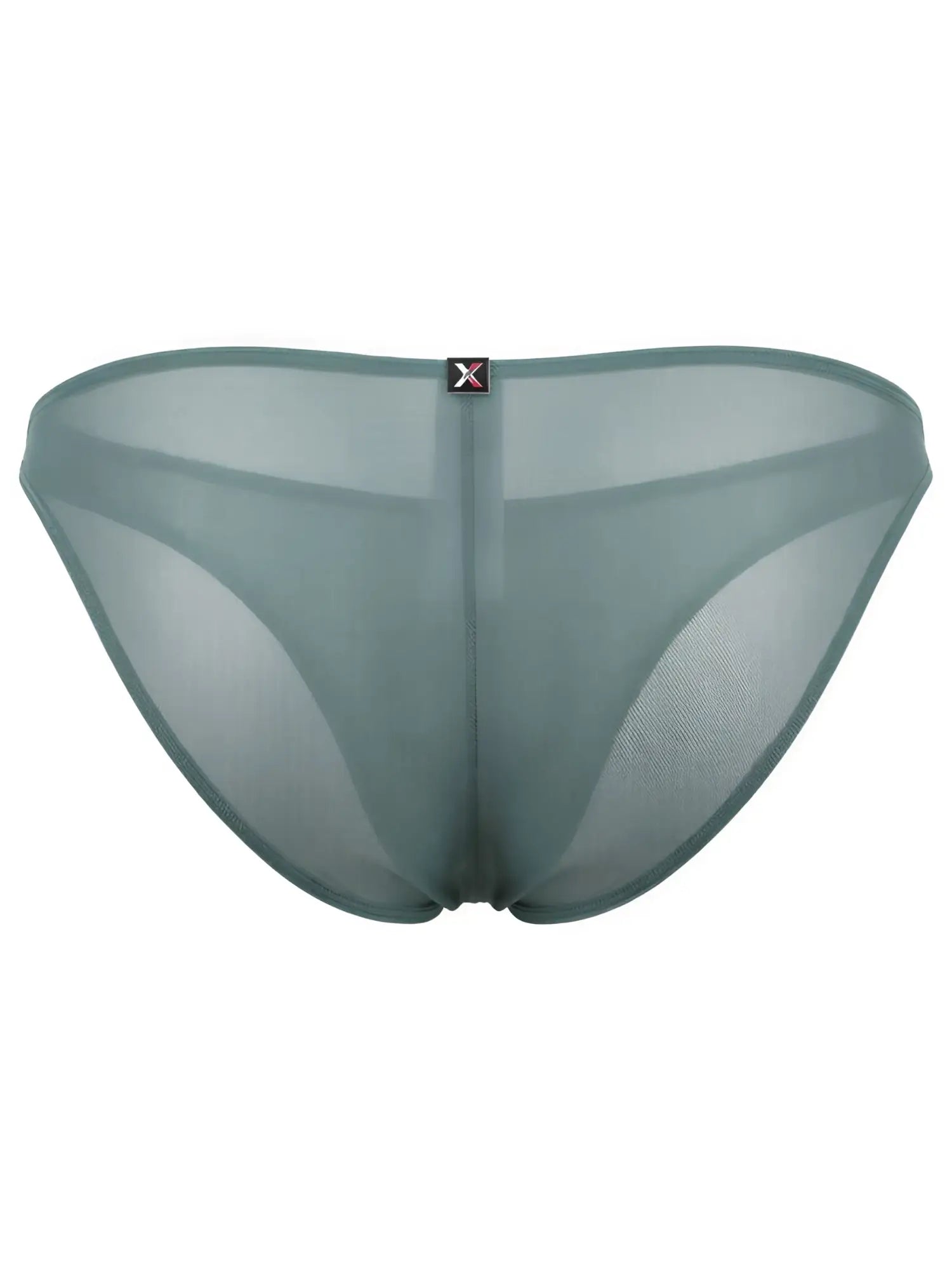 Xtremen sheer mesh bikini briefs in sage green. Back view featuring central brand tab.