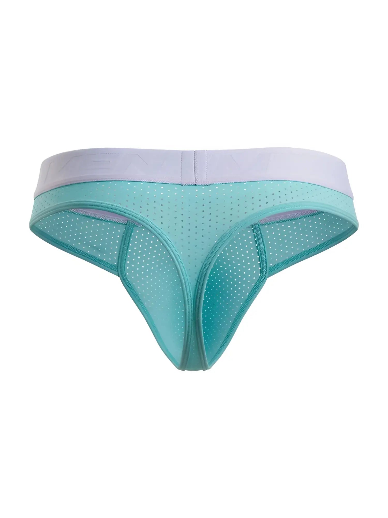 Front view of Xtremen 91268 microfiber mesh thong in seawater color with a light purple waistband.