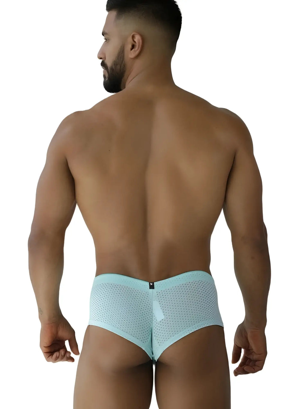 Xtremen 91269 Microfiber Mesh Briefs in Seawater color, back view on a model.