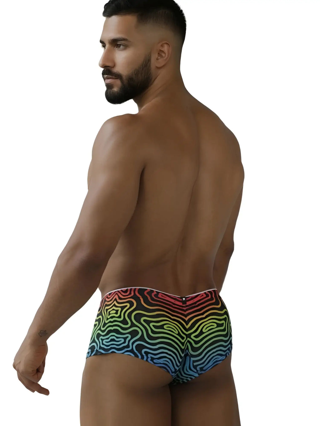 Xtremen 91283 Labyrinth rainbow printed microfiber briefs, back view on a male model.