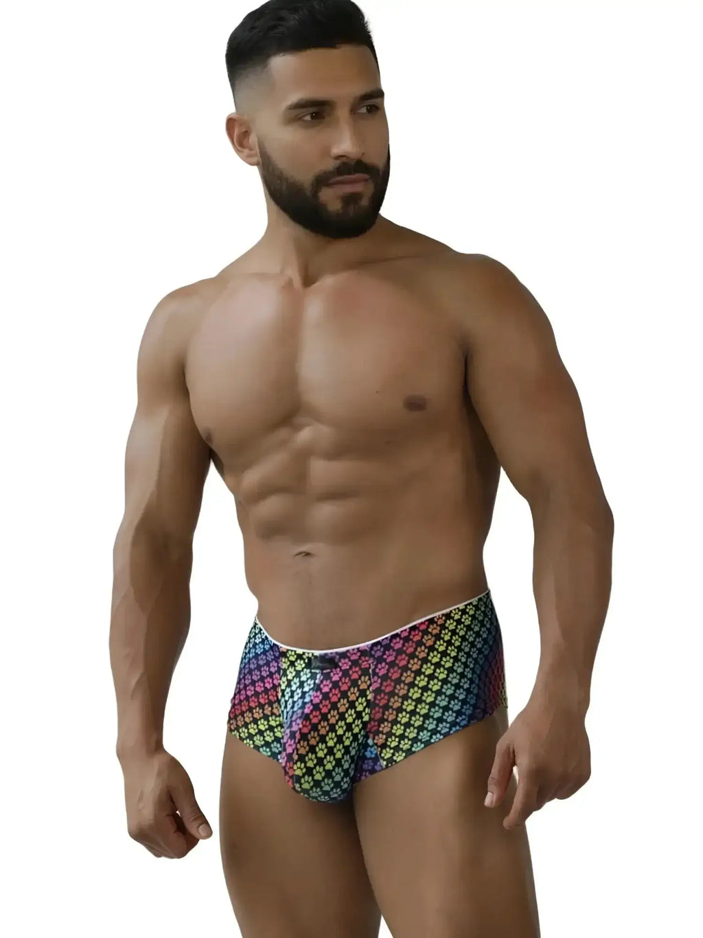 Xtremen 91283 rainbow paw print microfiber briefs, front view on a male model.